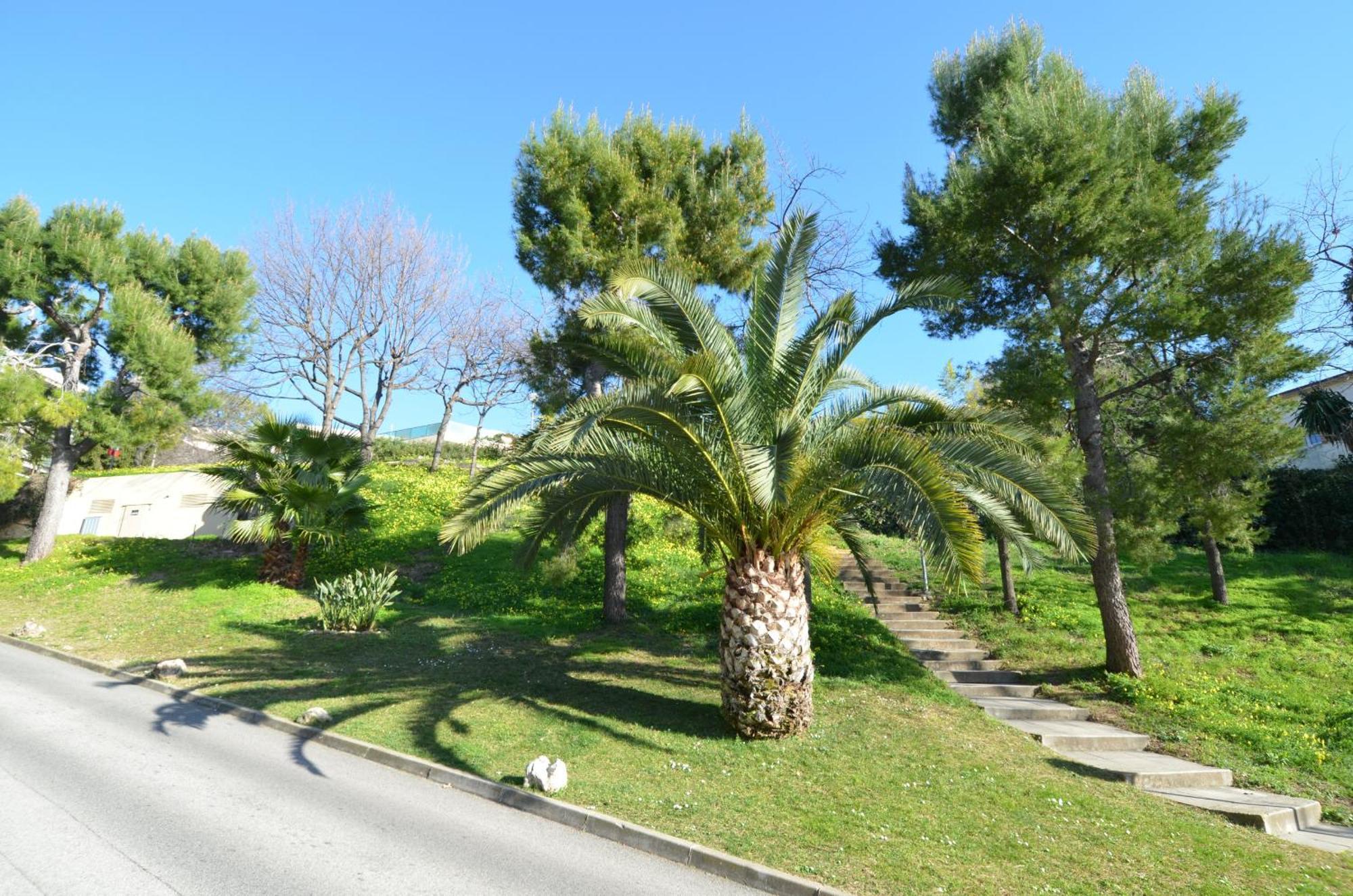 Plein Ciel - Appartement 5 Personnes Avec Piscine Sur La Corniche Fleurie A ニース エクステリア 写真